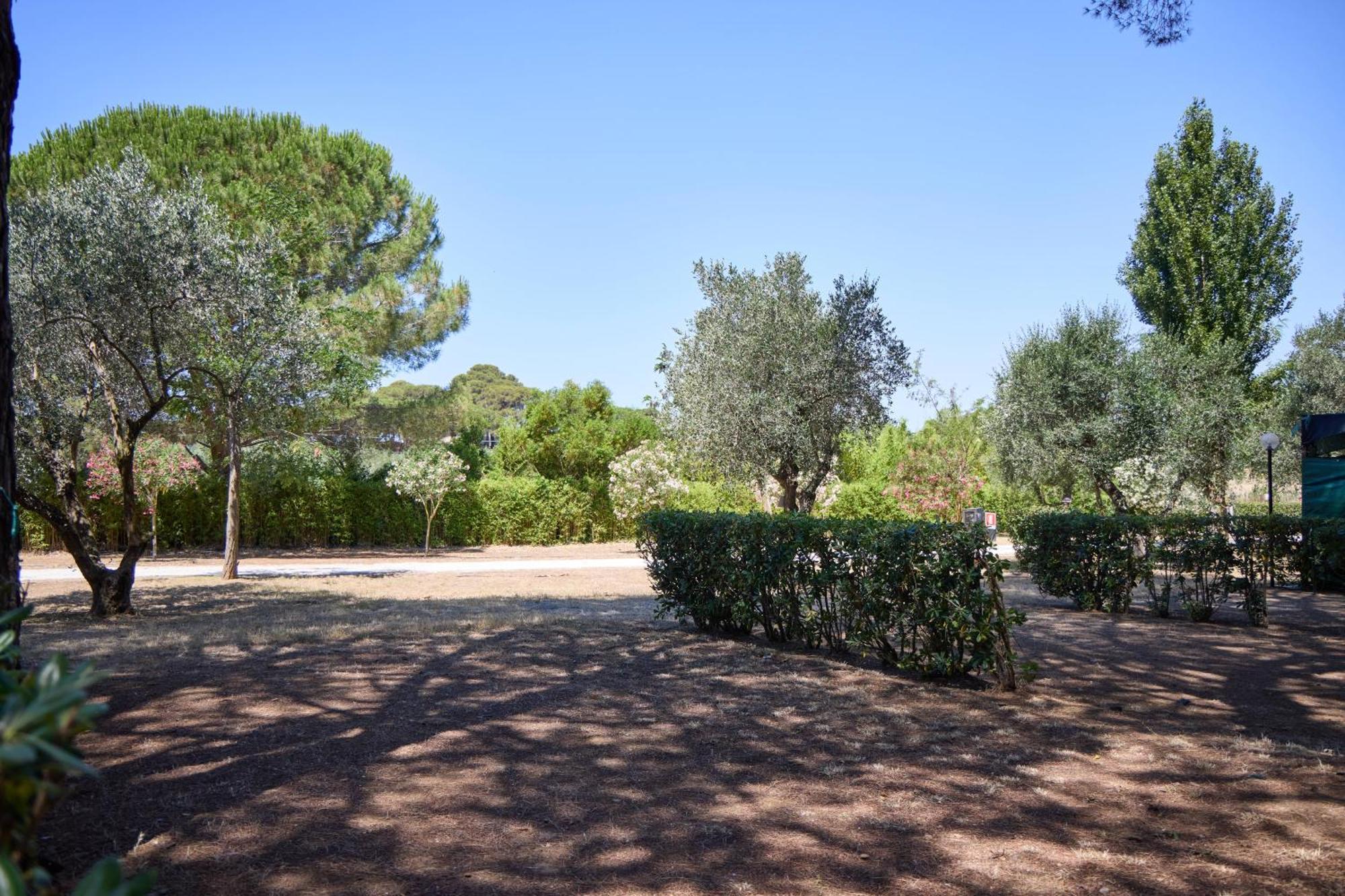 Costa D'Argento - Camping Village Club קפאלביו מראה חיצוני תמונה